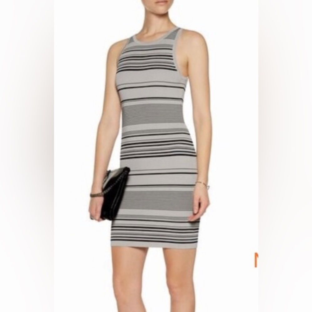 Halston Heritage Bodycon Dress